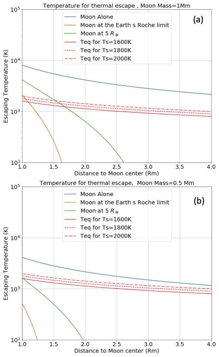 Tidal pull of the Earth strips the proto-Moon of its volatiles