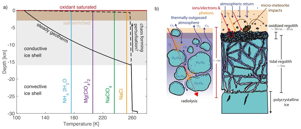 Downward Oxidant Transport Through Europa's Ice Shell by Density-Driven Brine Percolation